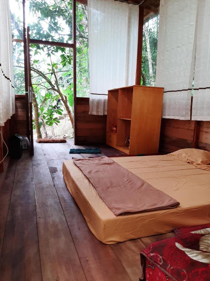 Bua Guesthouse Tangkahan Bagian luar foto
