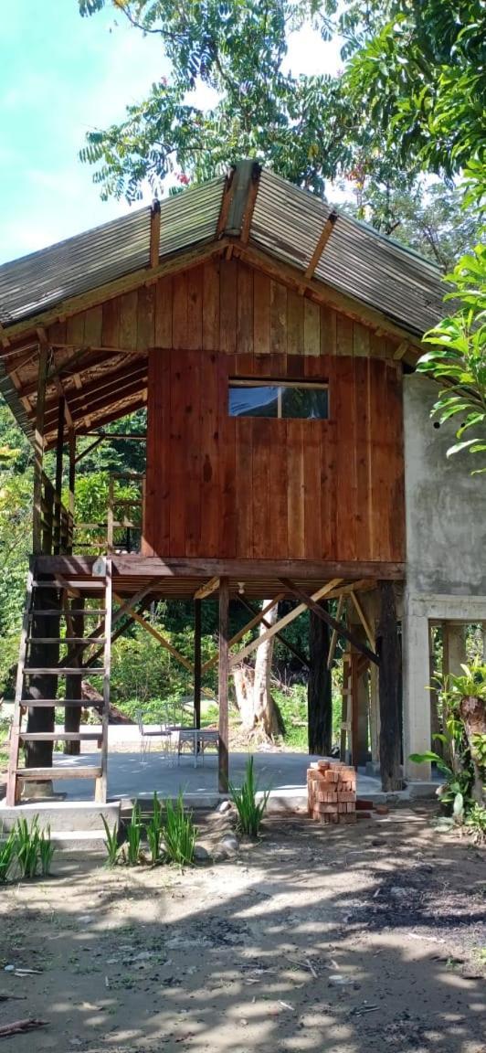 Bua Guesthouse Tangkahan Bagian luar foto