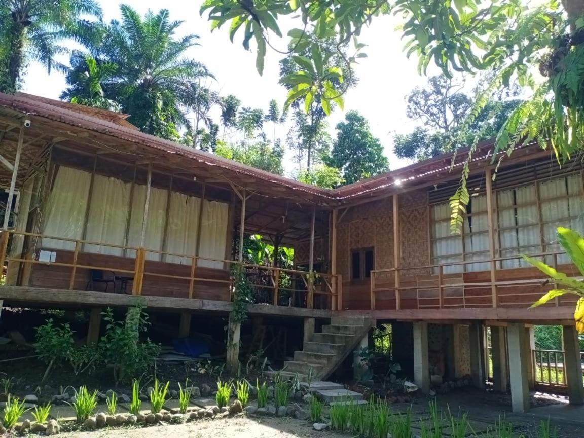 Bua Guesthouse Tangkahan Bagian luar foto