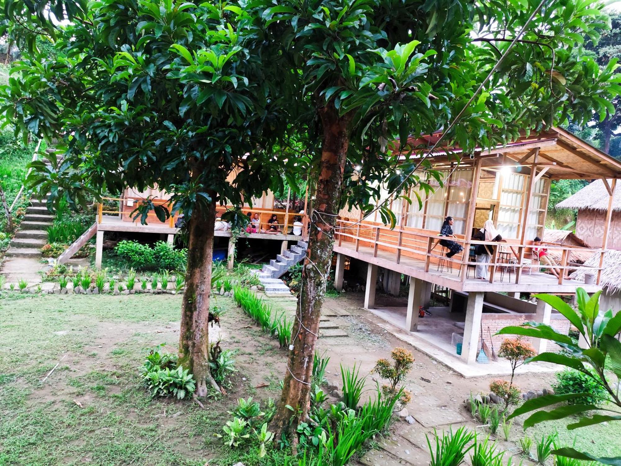 Bua Guesthouse Tangkahan Bagian luar foto