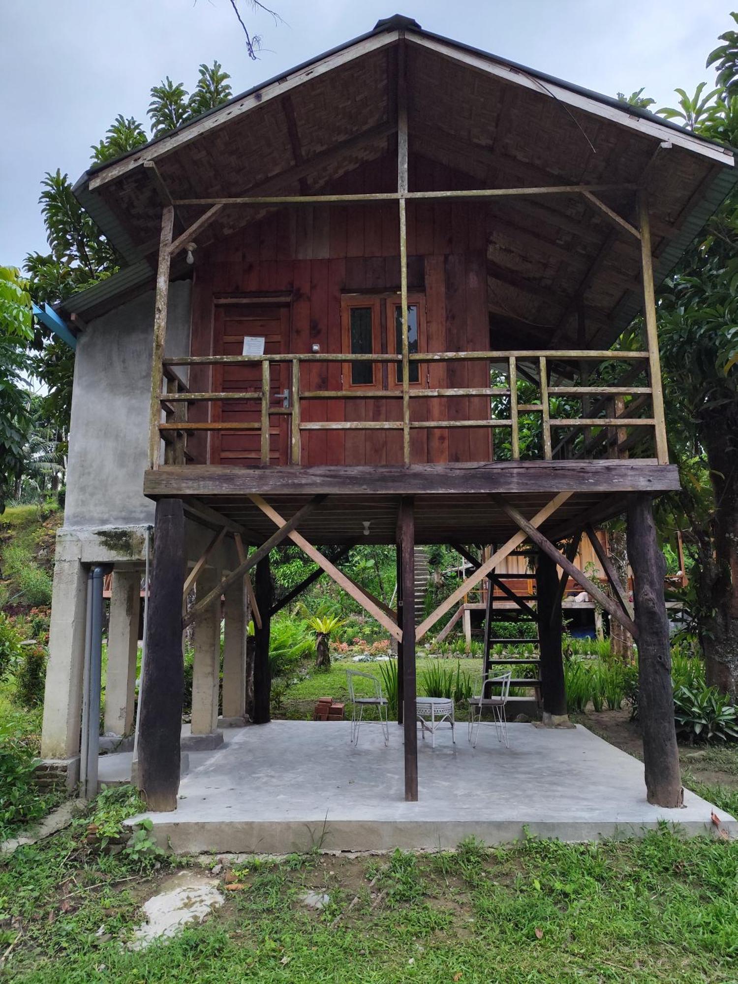 Bua Guesthouse Tangkahan Bagian luar foto