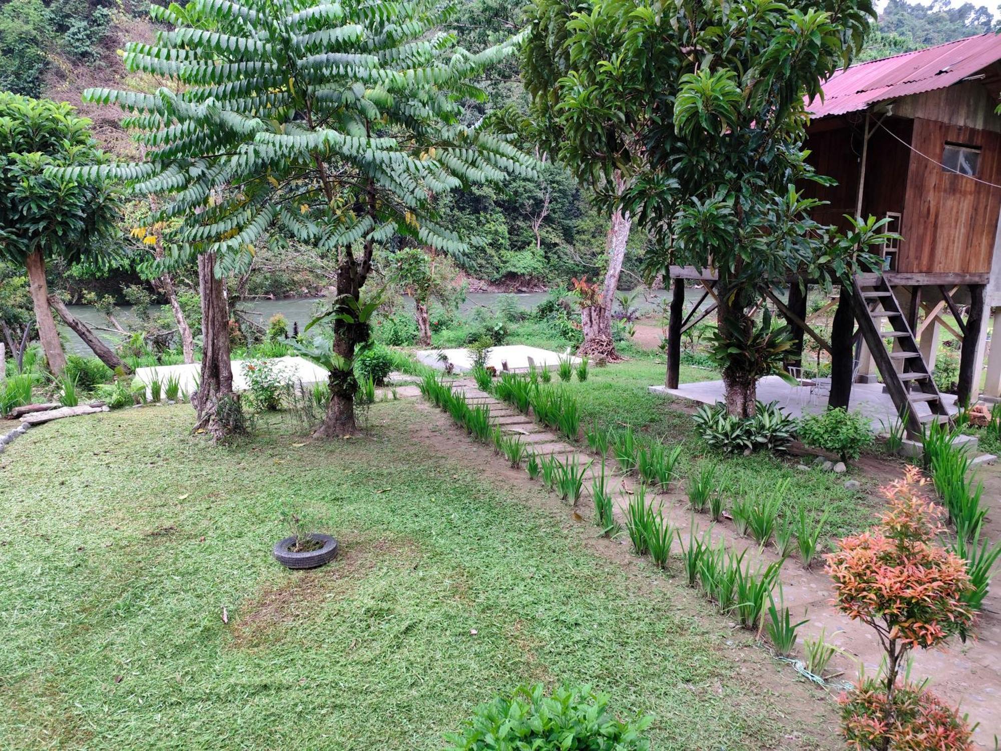 Bua Guesthouse Tangkahan Bagian luar foto