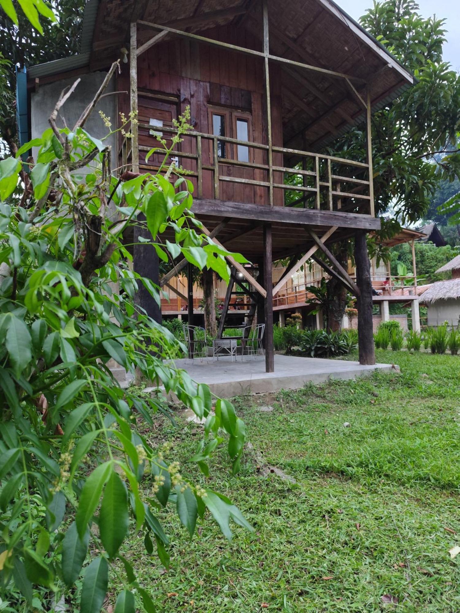 Bua Guesthouse Tangkahan Bagian luar foto